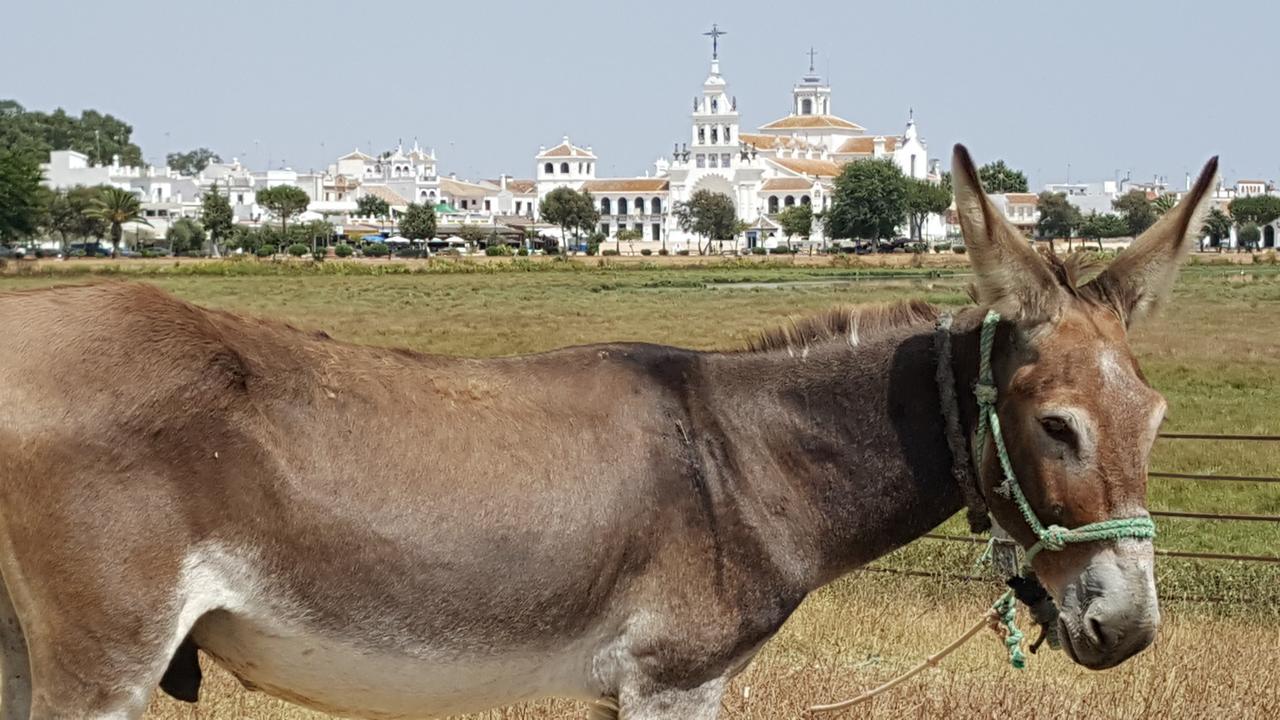 Hospederia Rural Las Buganvillas El Rocio Luaran gambar