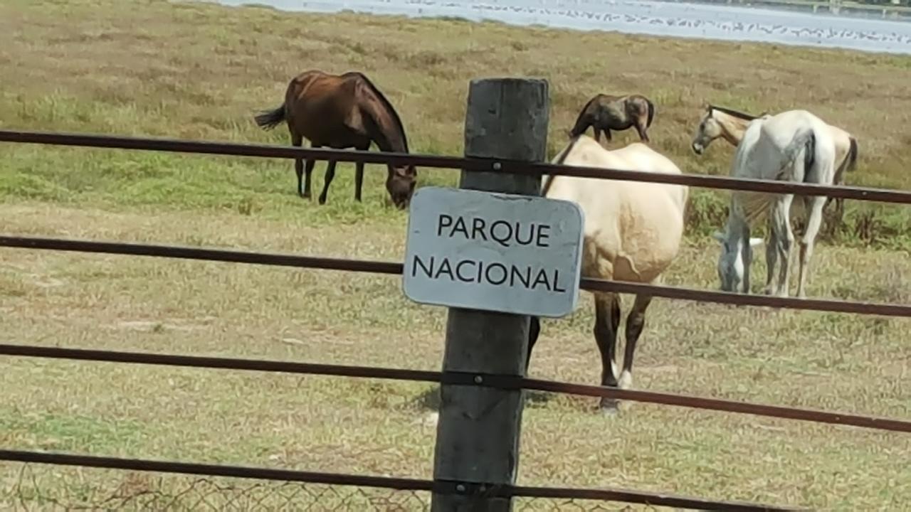 Hospederia Rural Las Buganvillas El Rocio Luaran gambar