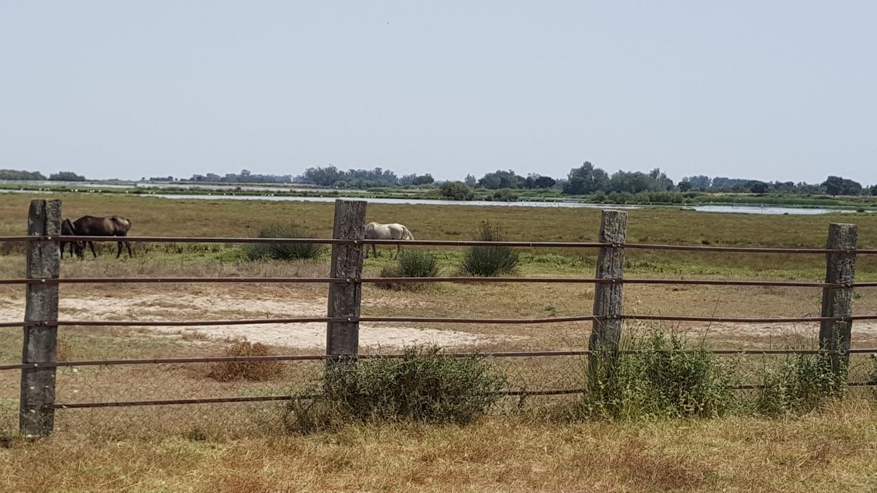 Hospederia Rural Las Buganvillas El Rocio Luaran gambar
